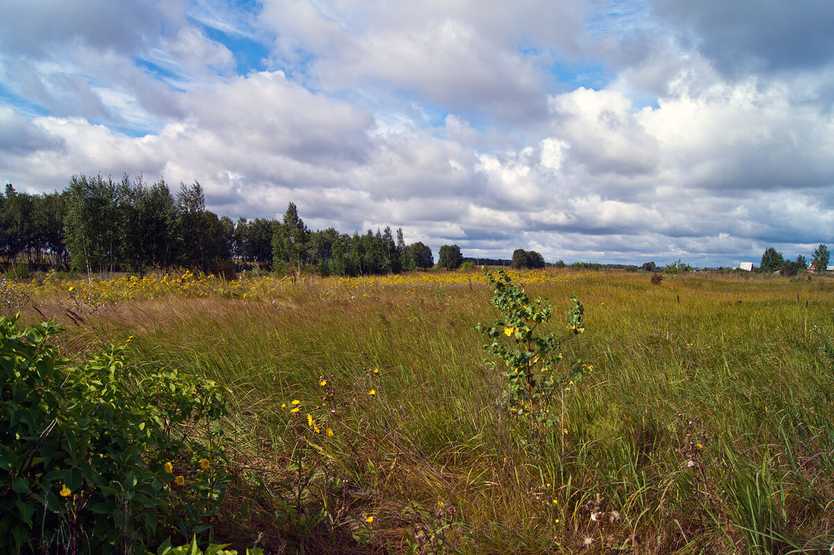 Август - IRinA*** 