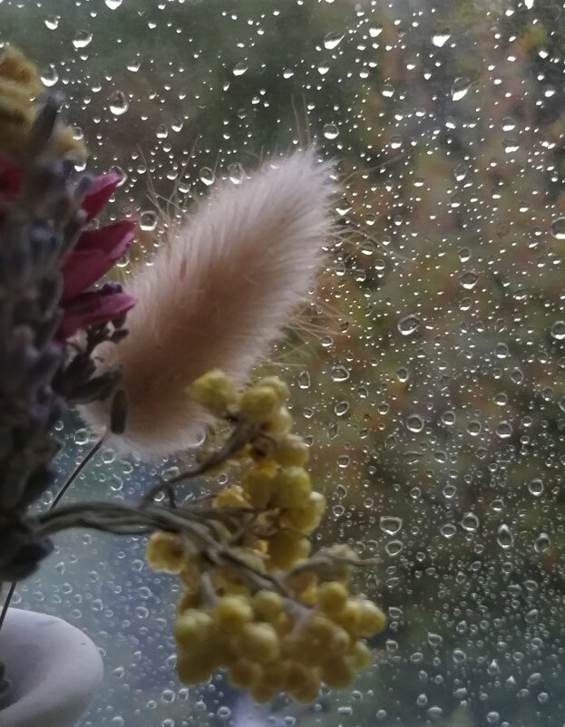 За окном дождь - Любимова Ольга За окном дождь - Любимова Ольга