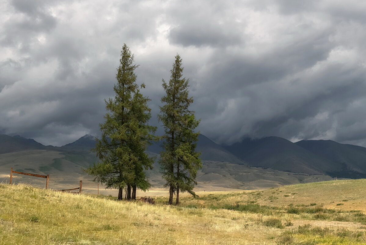 Перед дождем - Марина Фомина.