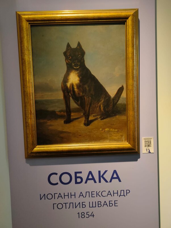 На выставке "Жизнь замечательных собак" - Ирэн 