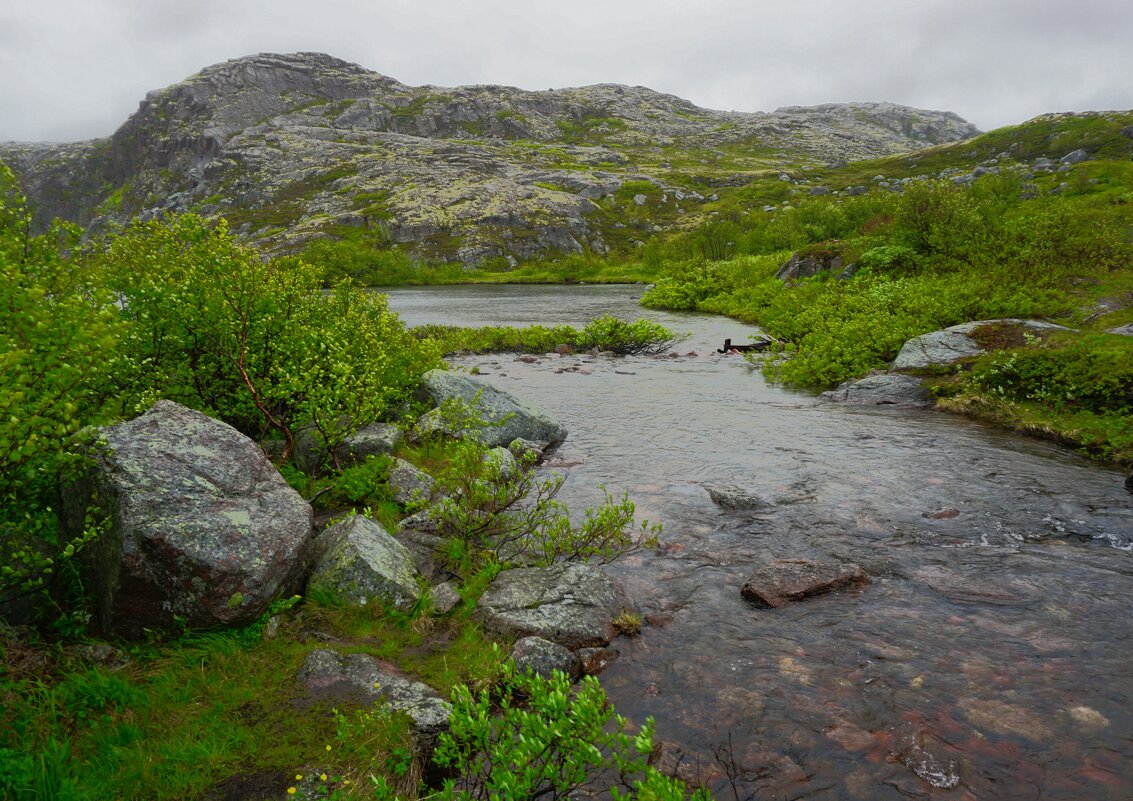 На Кольском - Ольга Чистякова