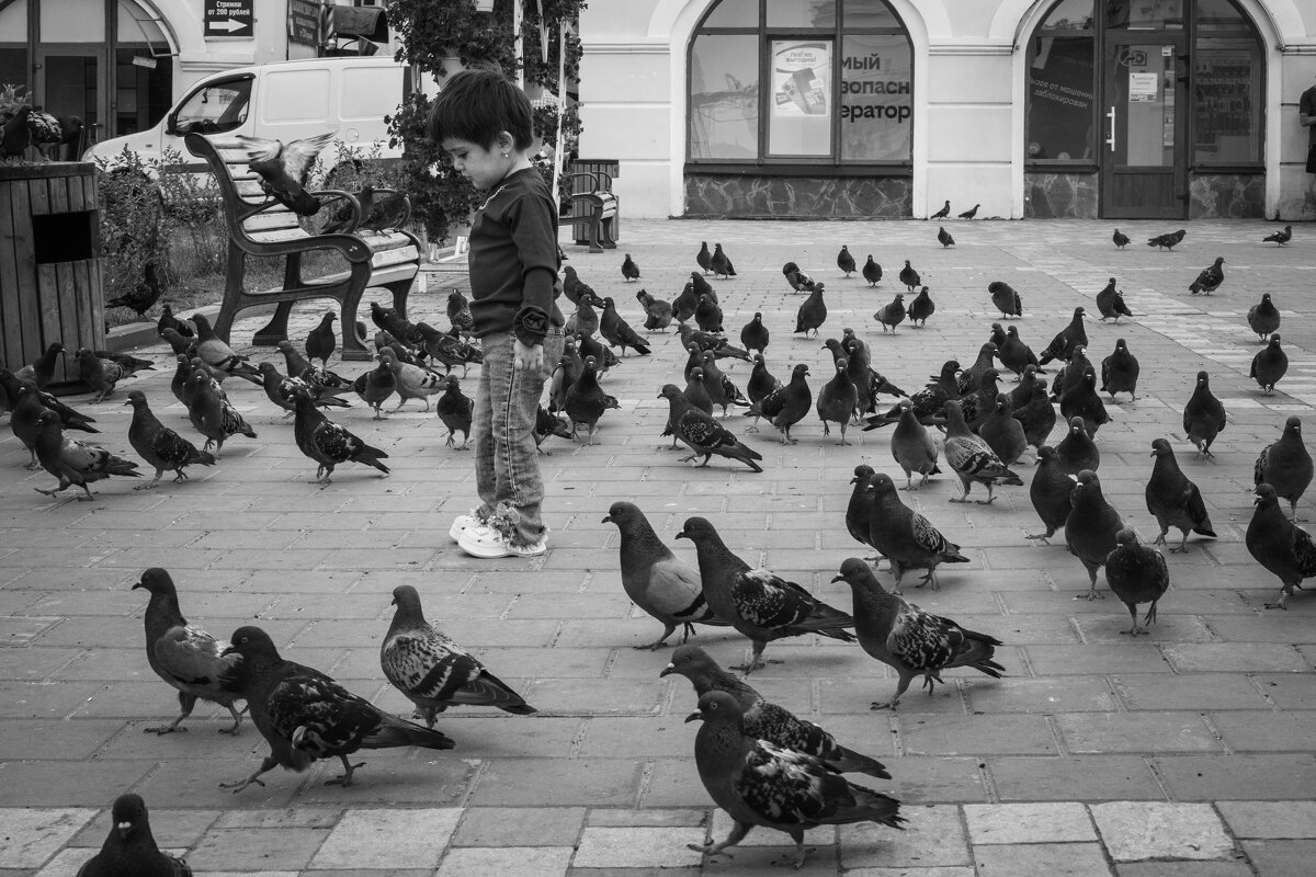 В окружении. - Алексей Ковынев