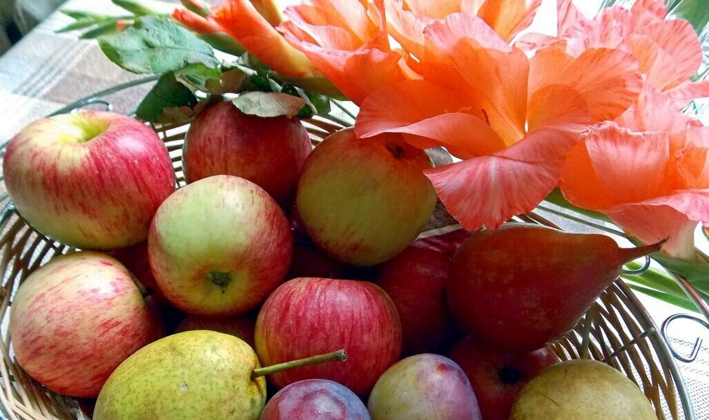 С Яблочным Спасом ! - Galina Solovova