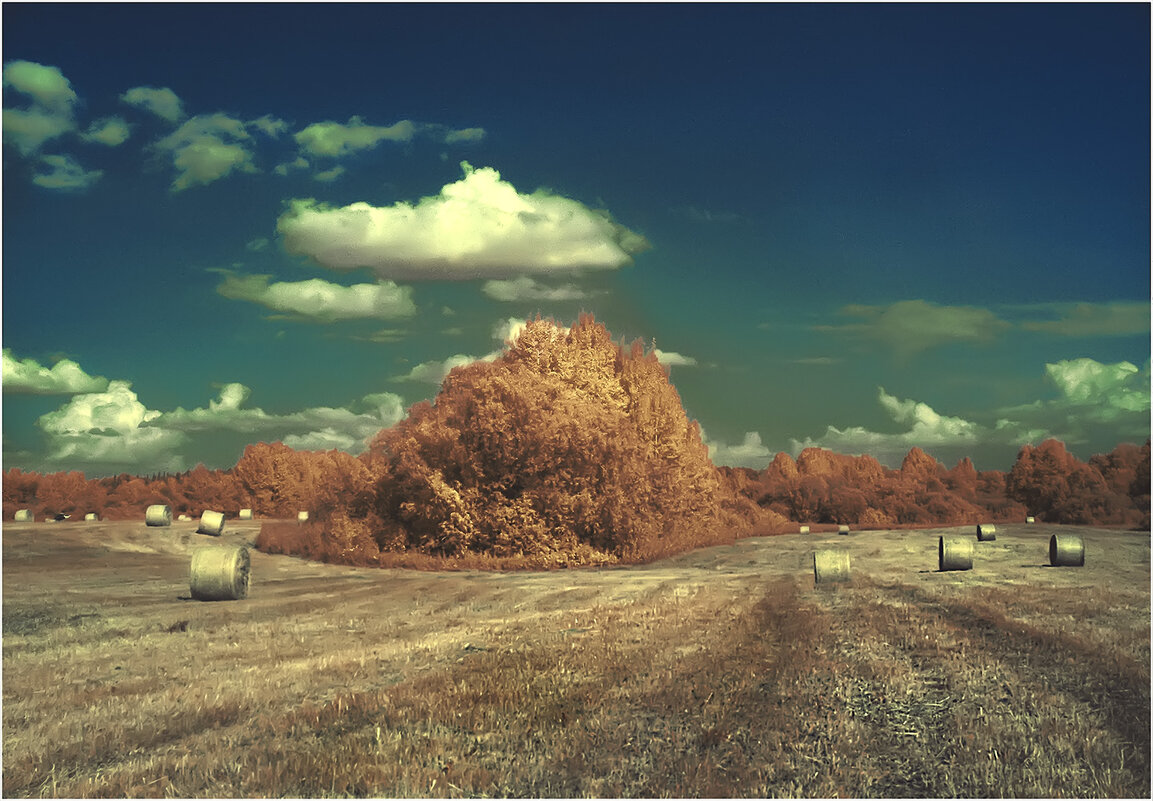 Инфракрасный июль (фильтр 630 нм ) - Валентин Котляров