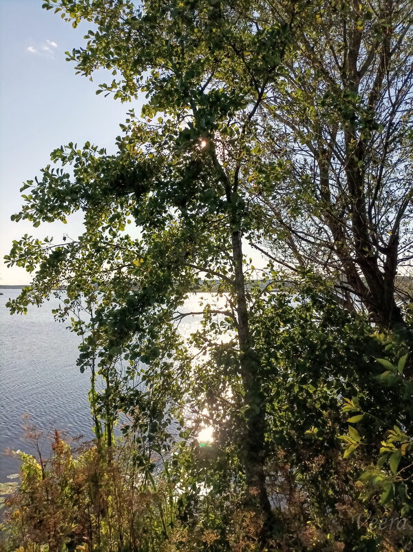 У Нарвского водохранилища - Veera V