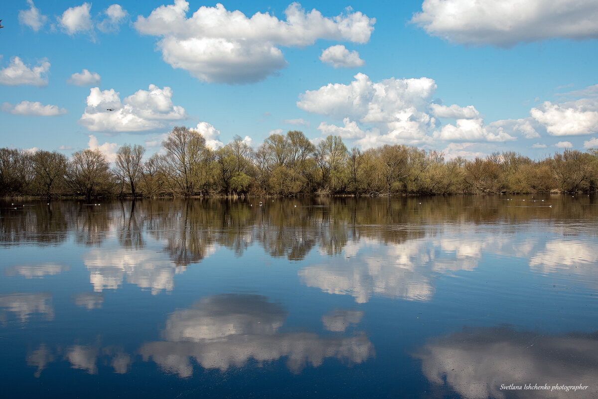 Небо в реке - Светлана Ищенко