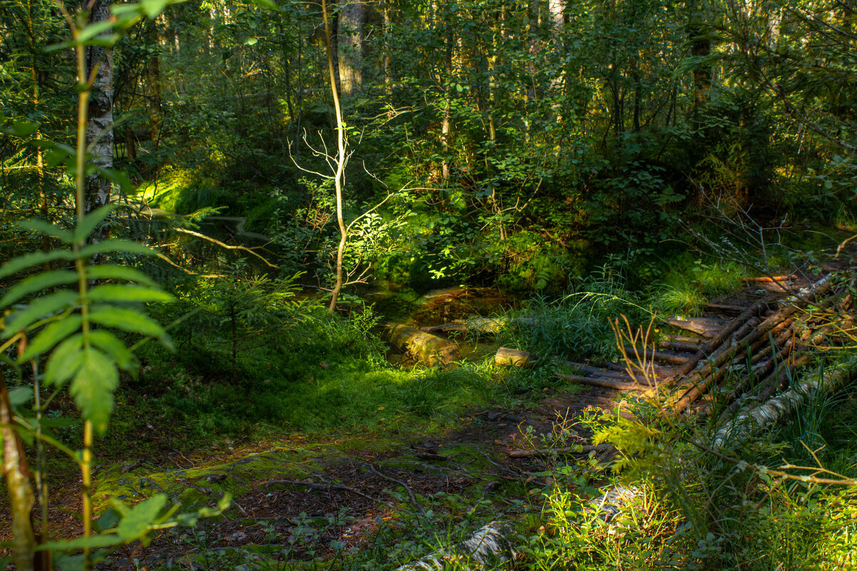 На неведомых дорожках. - Михаил "Skipper"