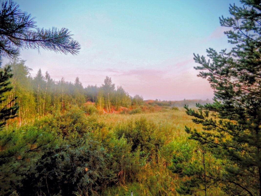 Нежность раннего утра! - Елена Хайдукова  ( Elena Fly )