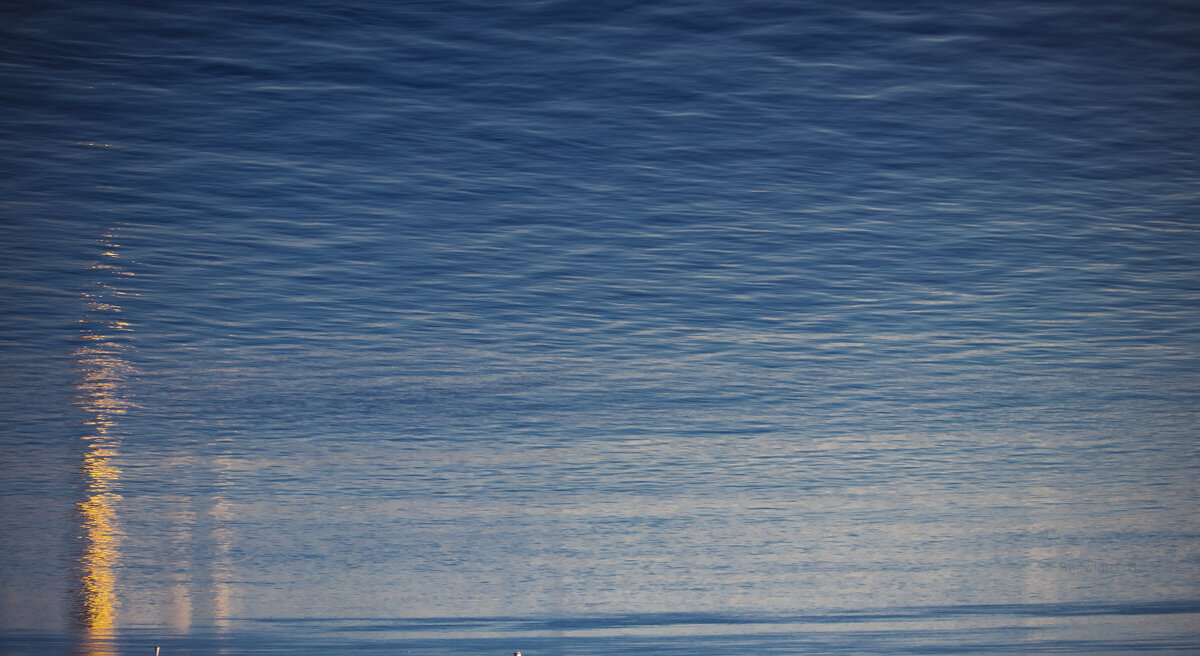 Утро на Неве - Sergei Vikulov Утро на Неве - Sergei Vikulov