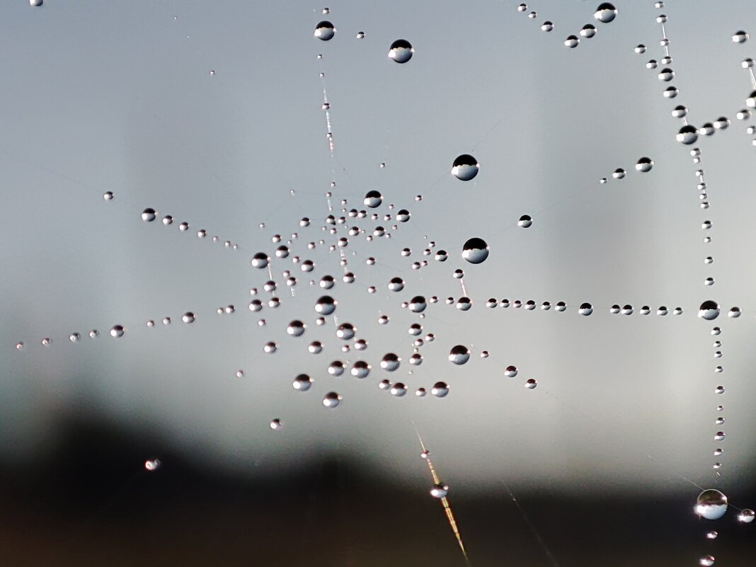 Роса на паутине - Валентина Богатко 