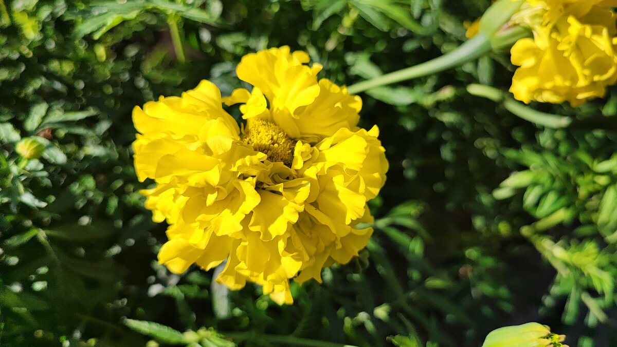 ,,, - Сергей Тимоновский