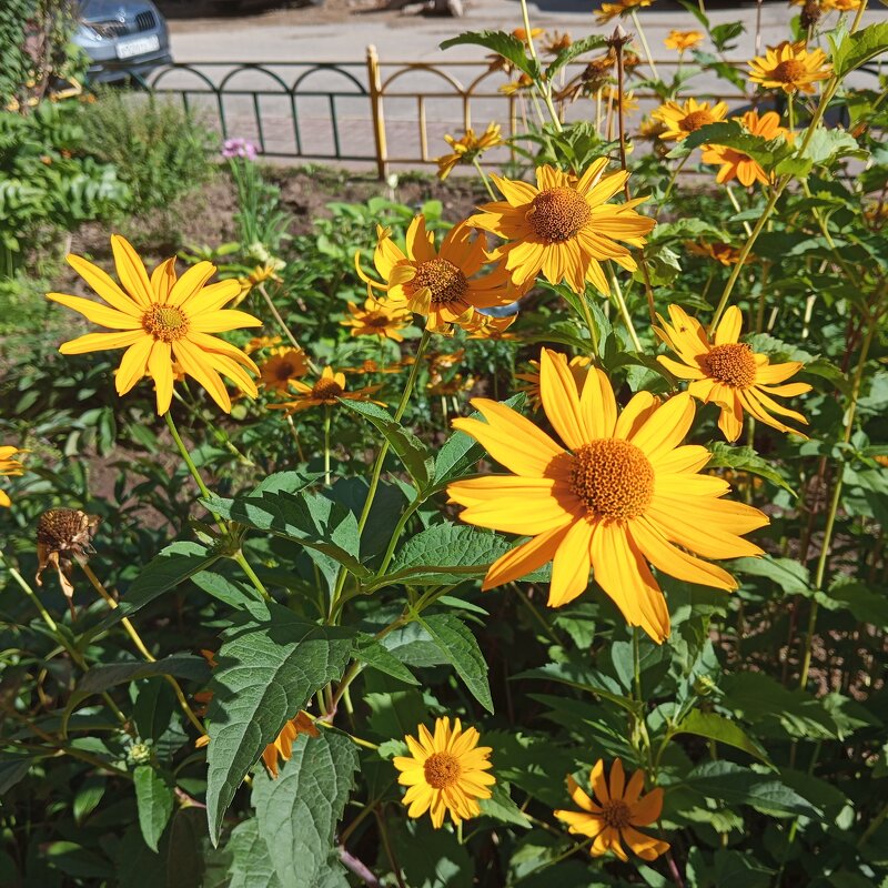 В конце августа - Елена Семигина