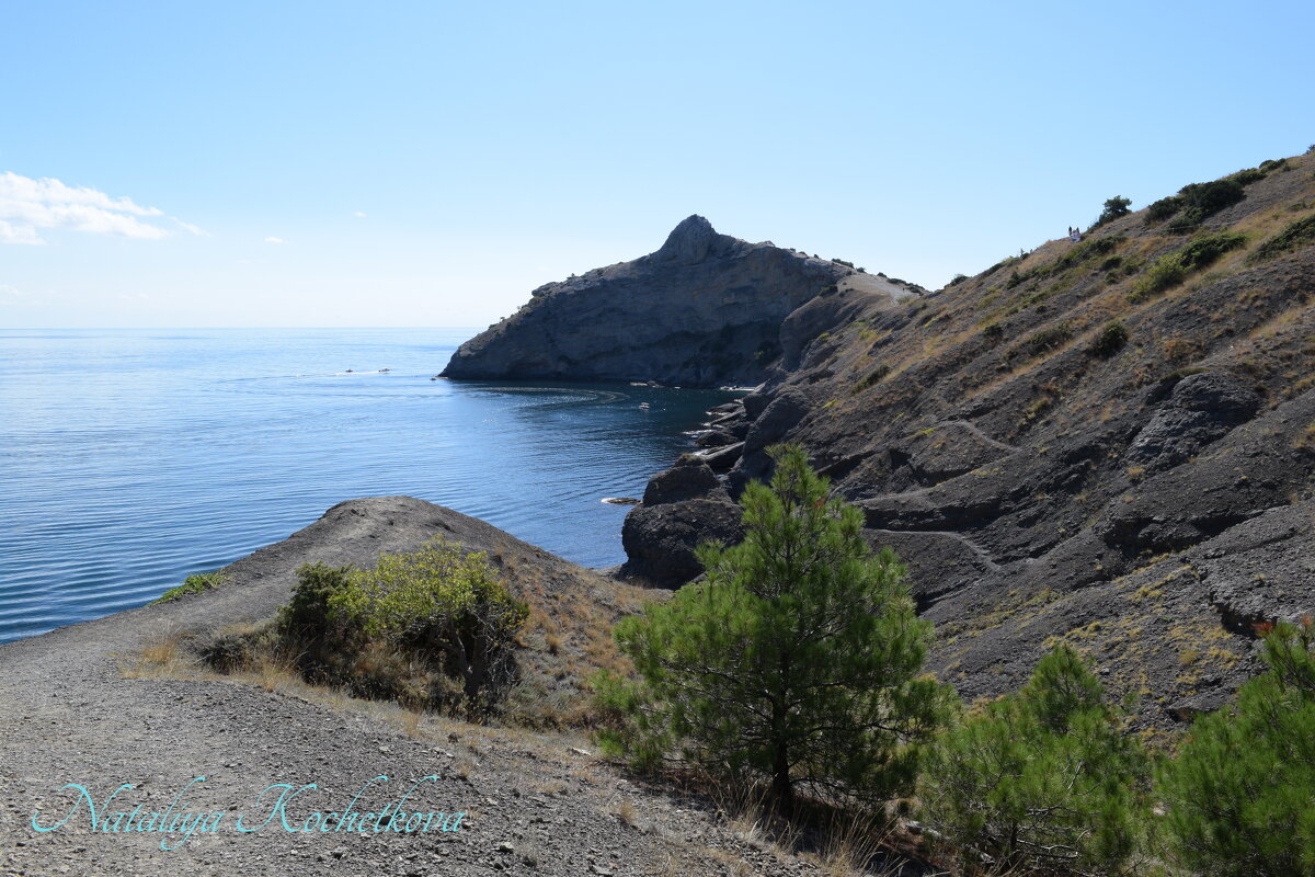 Природа Крыма - Amazing Cosmea