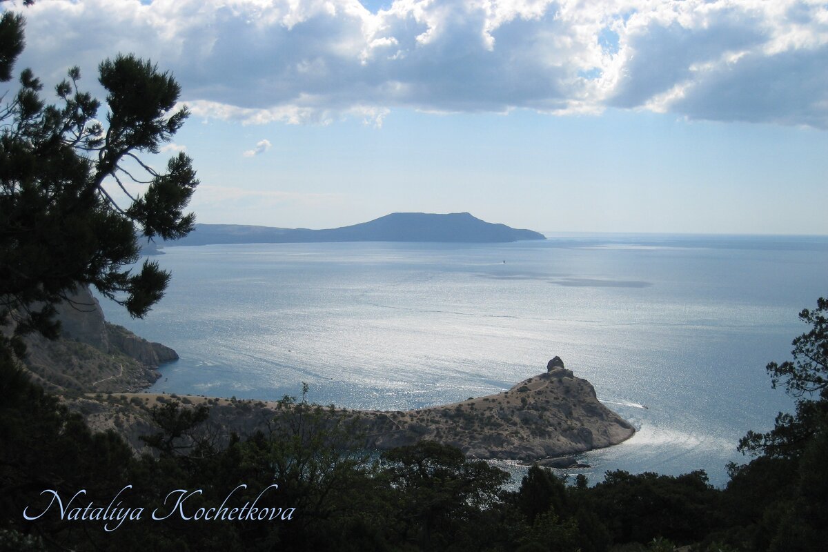 Природа Крыма - Amazing Cosmea Природа Крыма - Amazing Cosmea