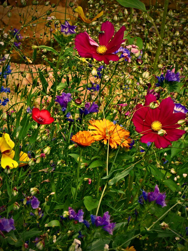 Летние этюды 82 - Алексей Кузнецов