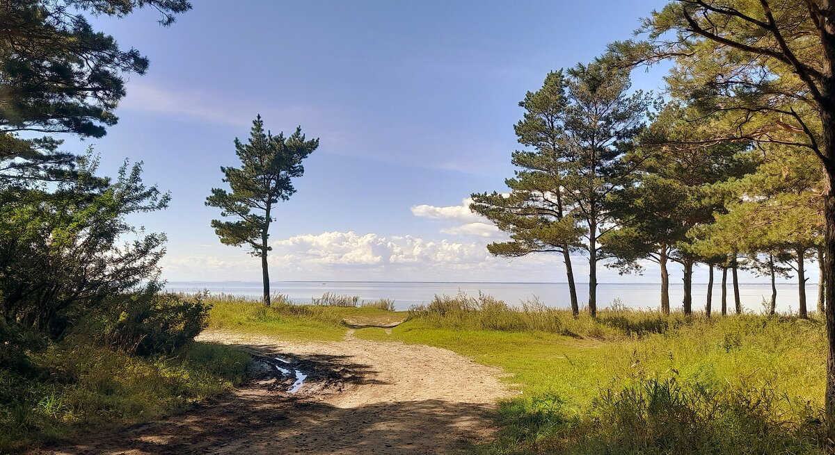 На берегу - Мила Бовкун