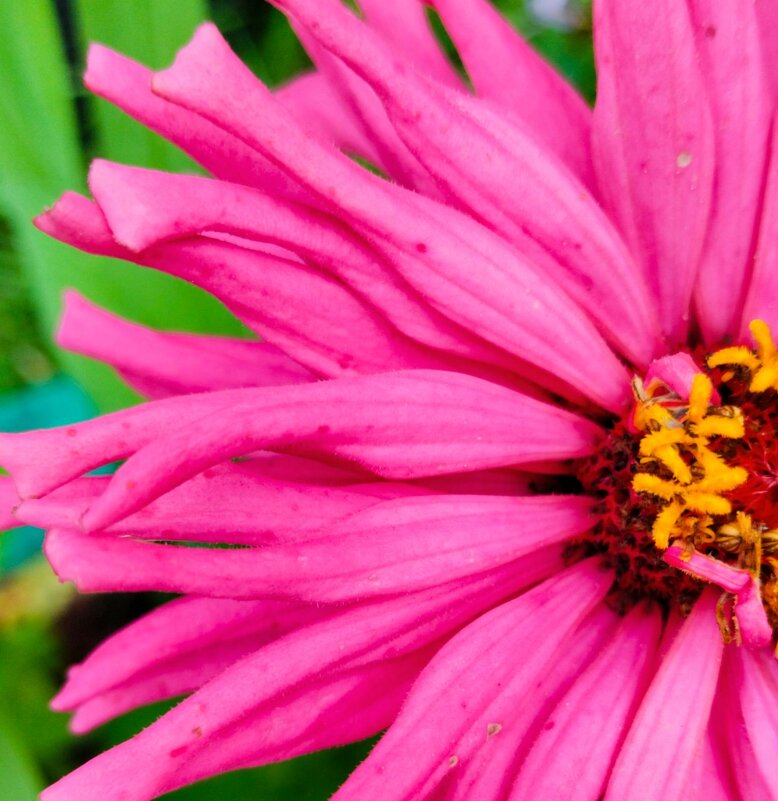 На исходе лета - Галина Бобкина