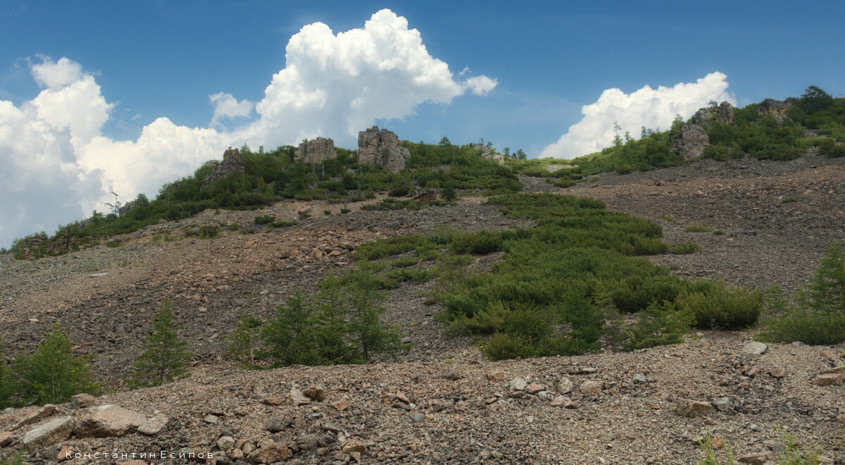 /// - Константин Есипов