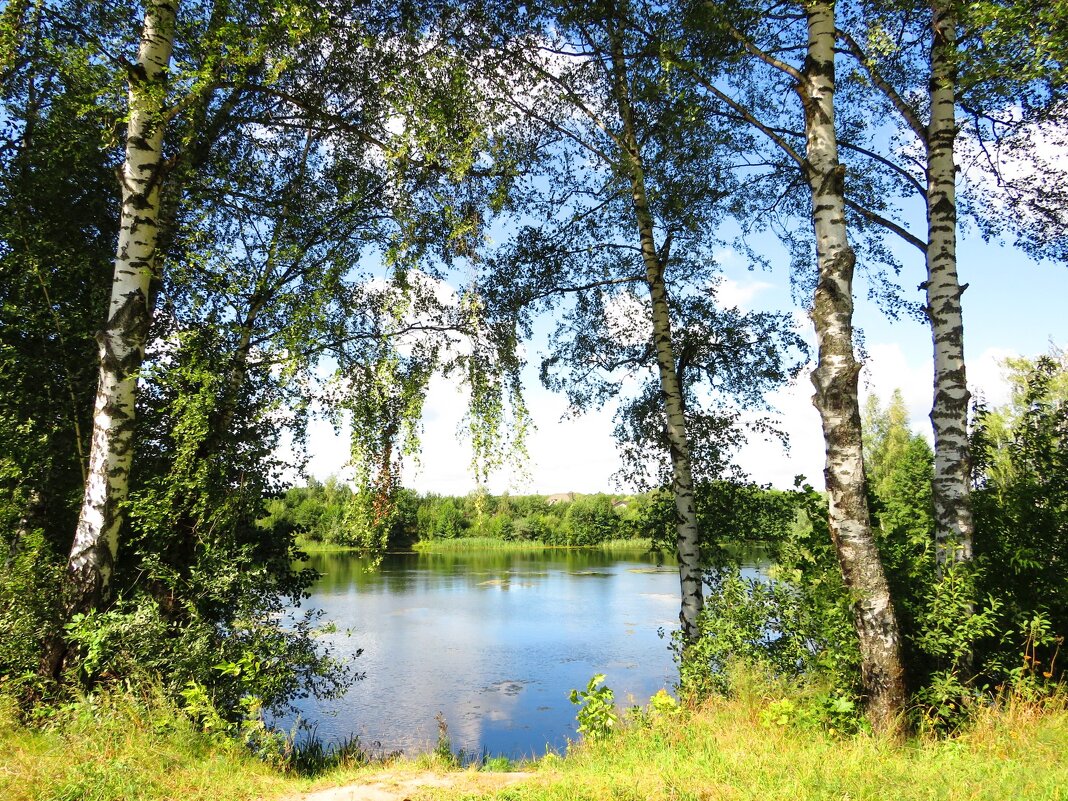 Берёзы на берегу озера - Андрей Снегерёв