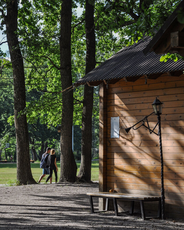 Мелодия августа - Татьяна Машошина