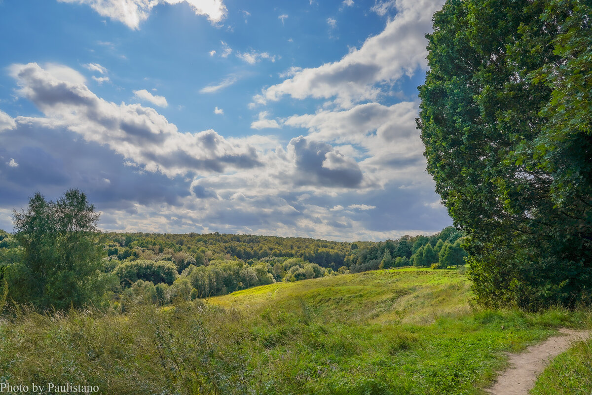 Август в Царицыно... - Владимир Жданов