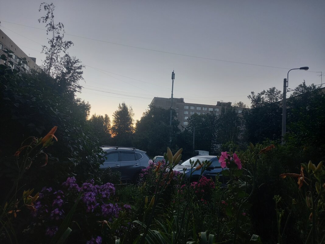 Рассвет - Сапсан 