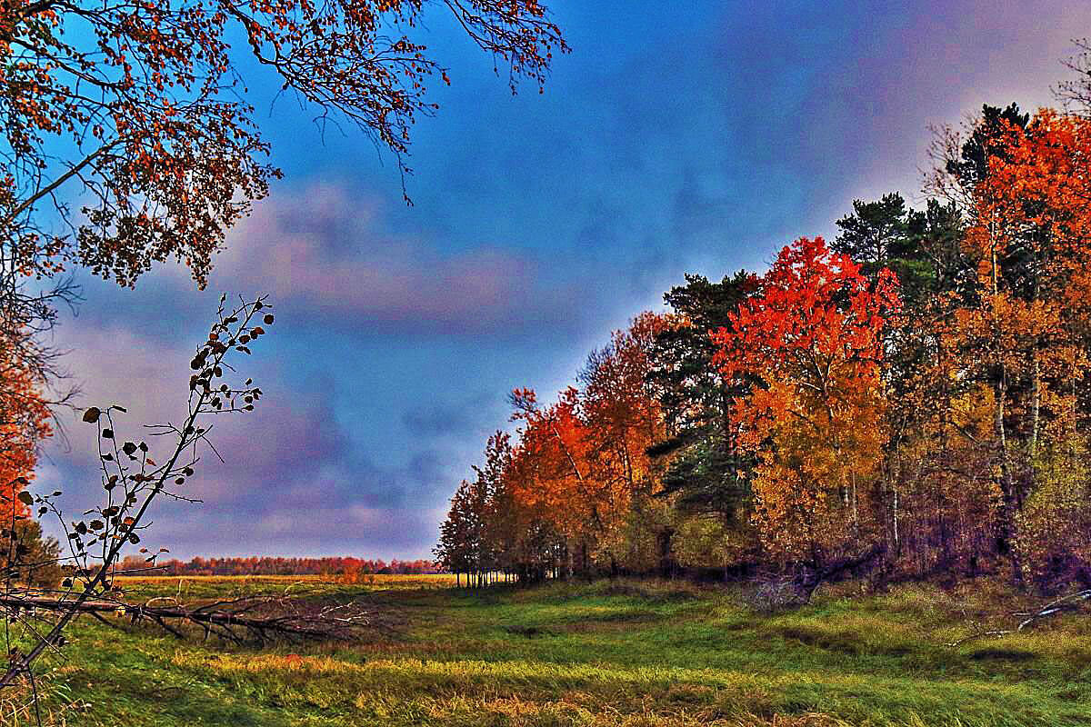 Сентябрь..Утро в пору  золотой осени! - Владимир 