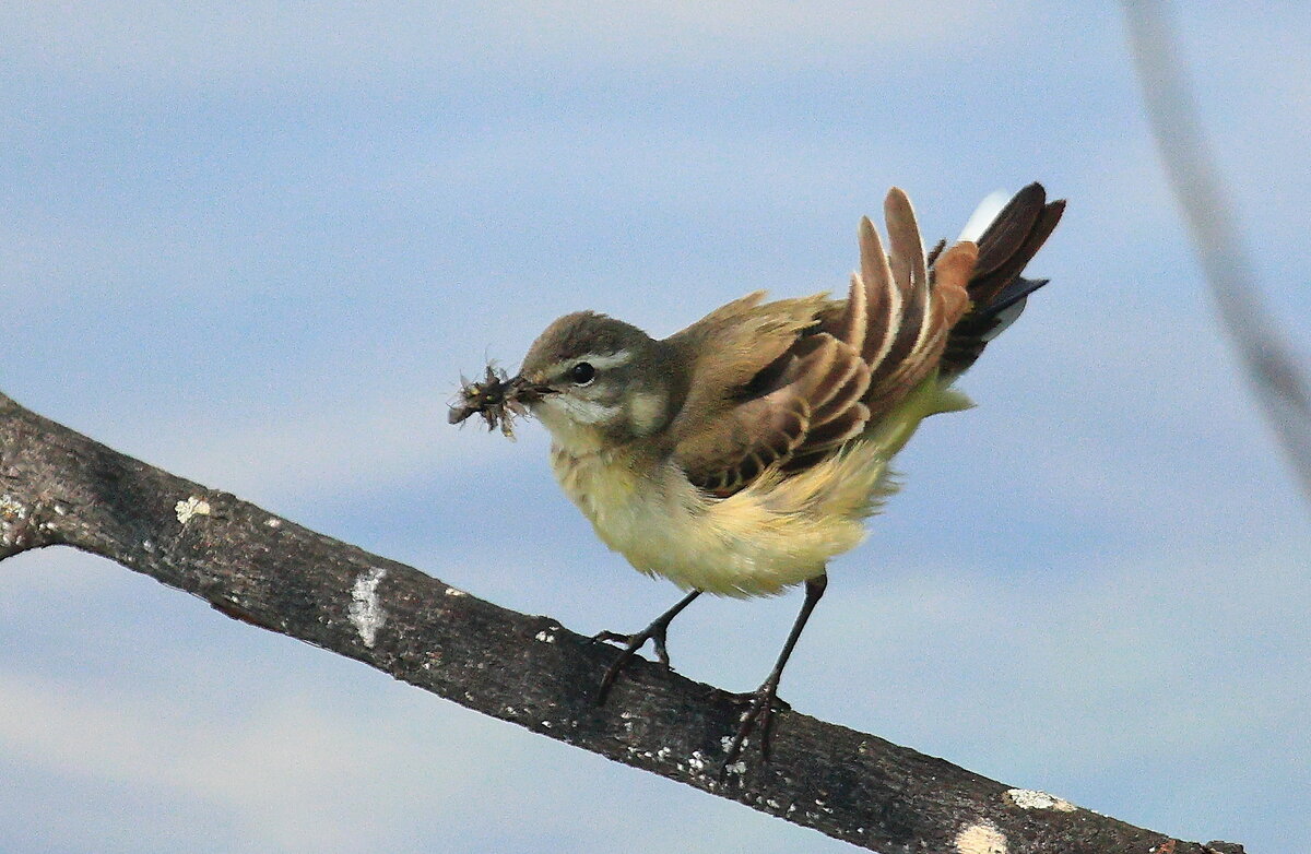 Верь в удачу - Владилен Панченко