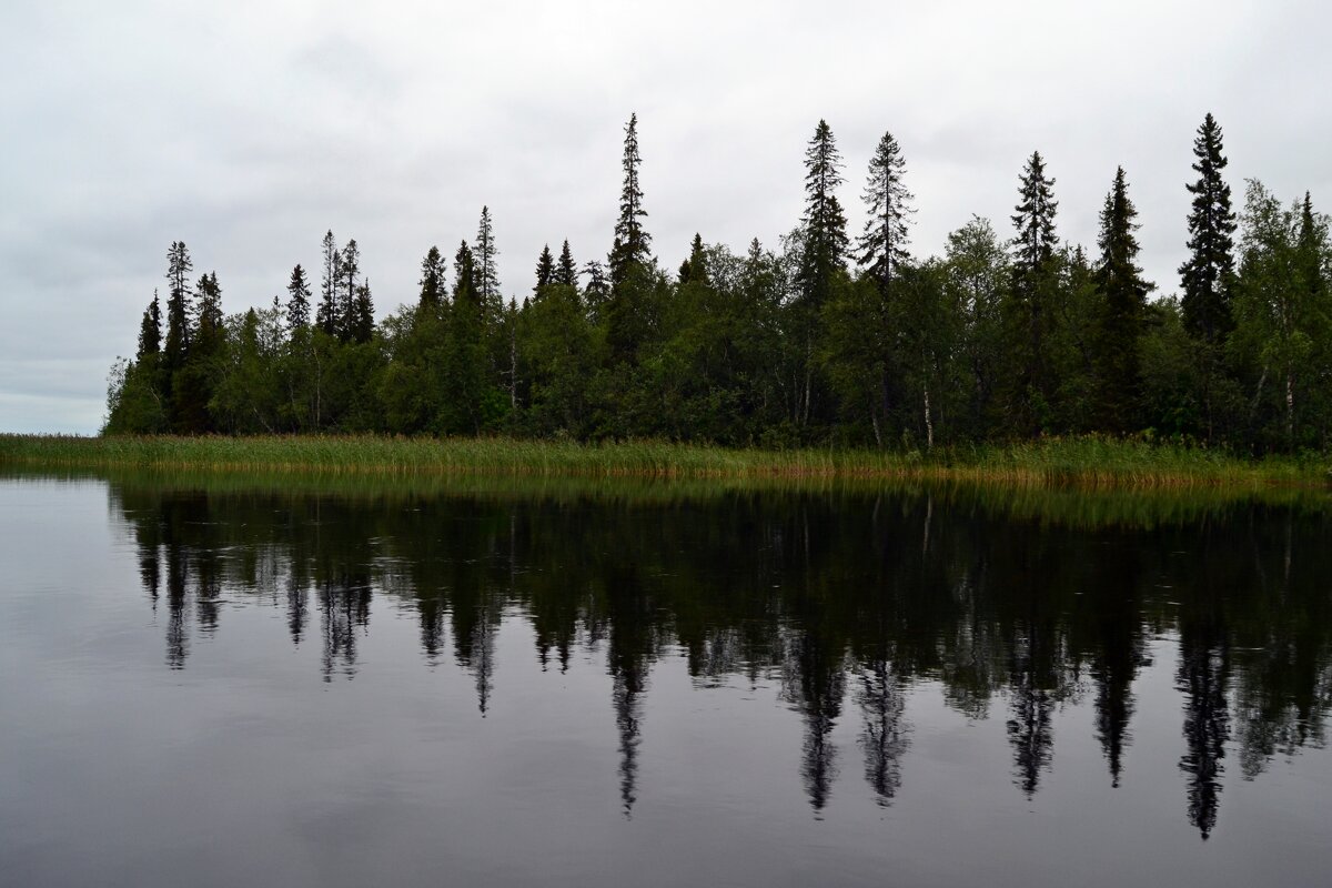Хмурое утро - Ольга Хмурое утро - Ольга