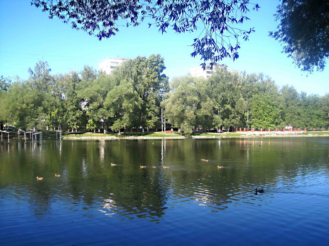 На озере - Елена Семигина