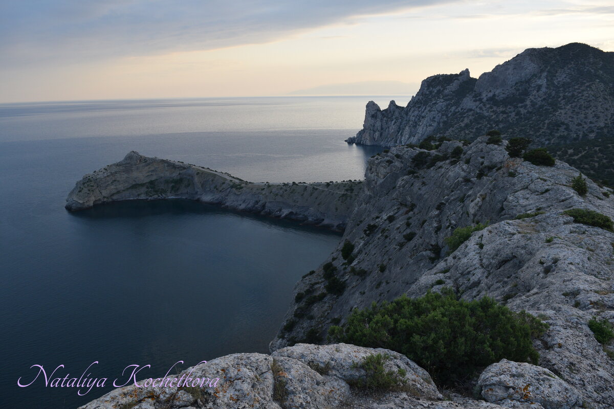 Природа Крыма - Amazing Cosmea