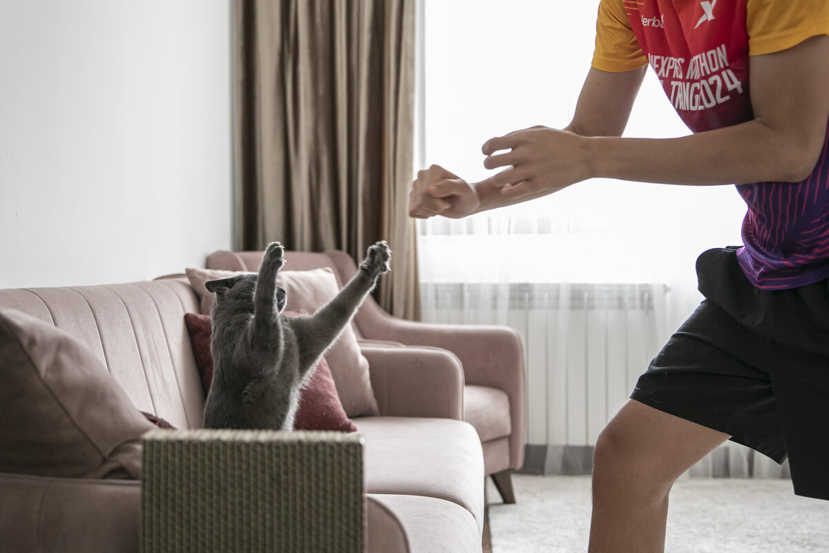 спаринг - Солтан Жексенбеков