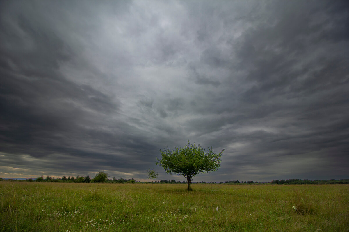 *** - Nataliya Belova