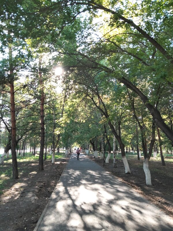 В парке - Динара Каймиденова