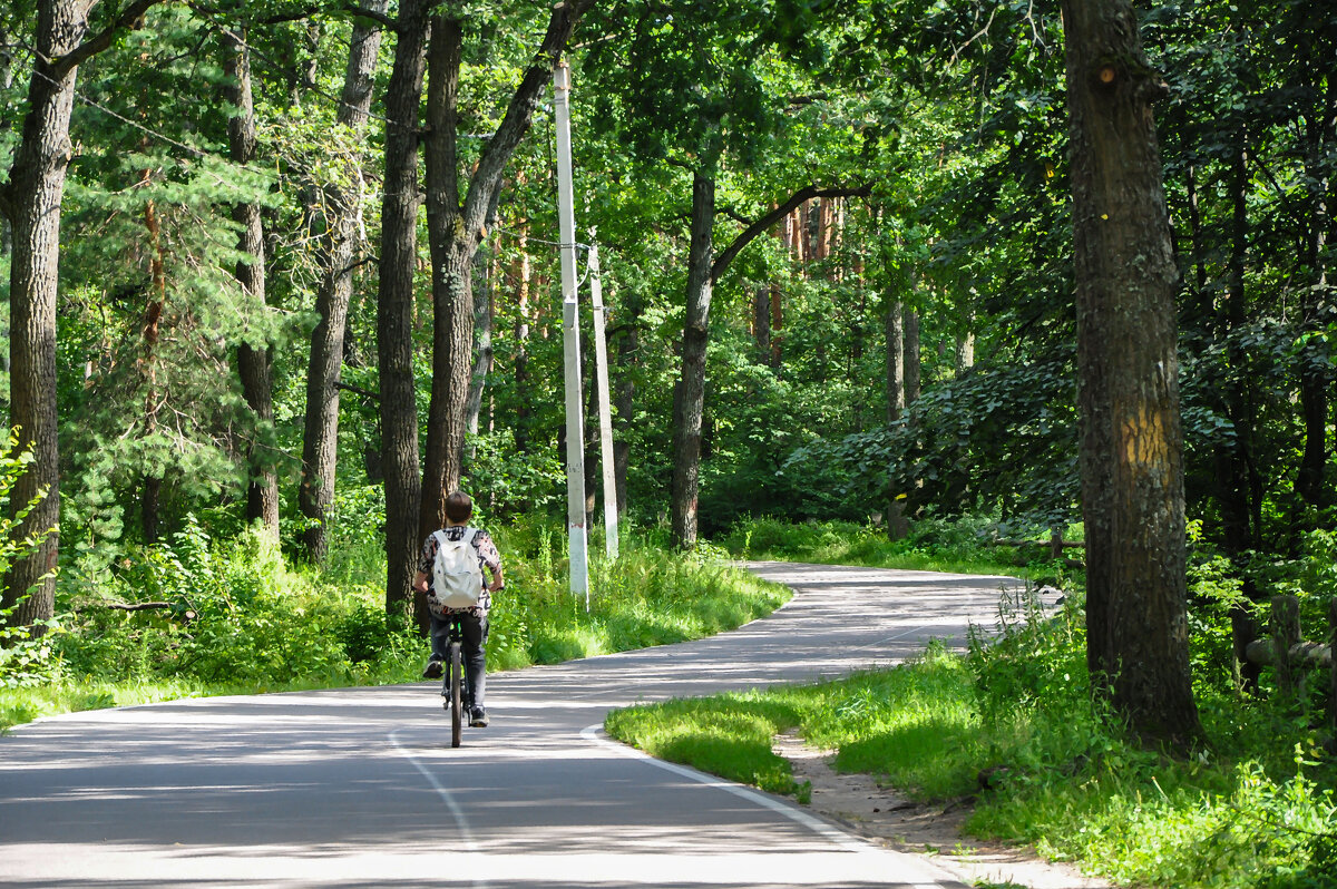 Одиночный заезд - Татьяна Машошина