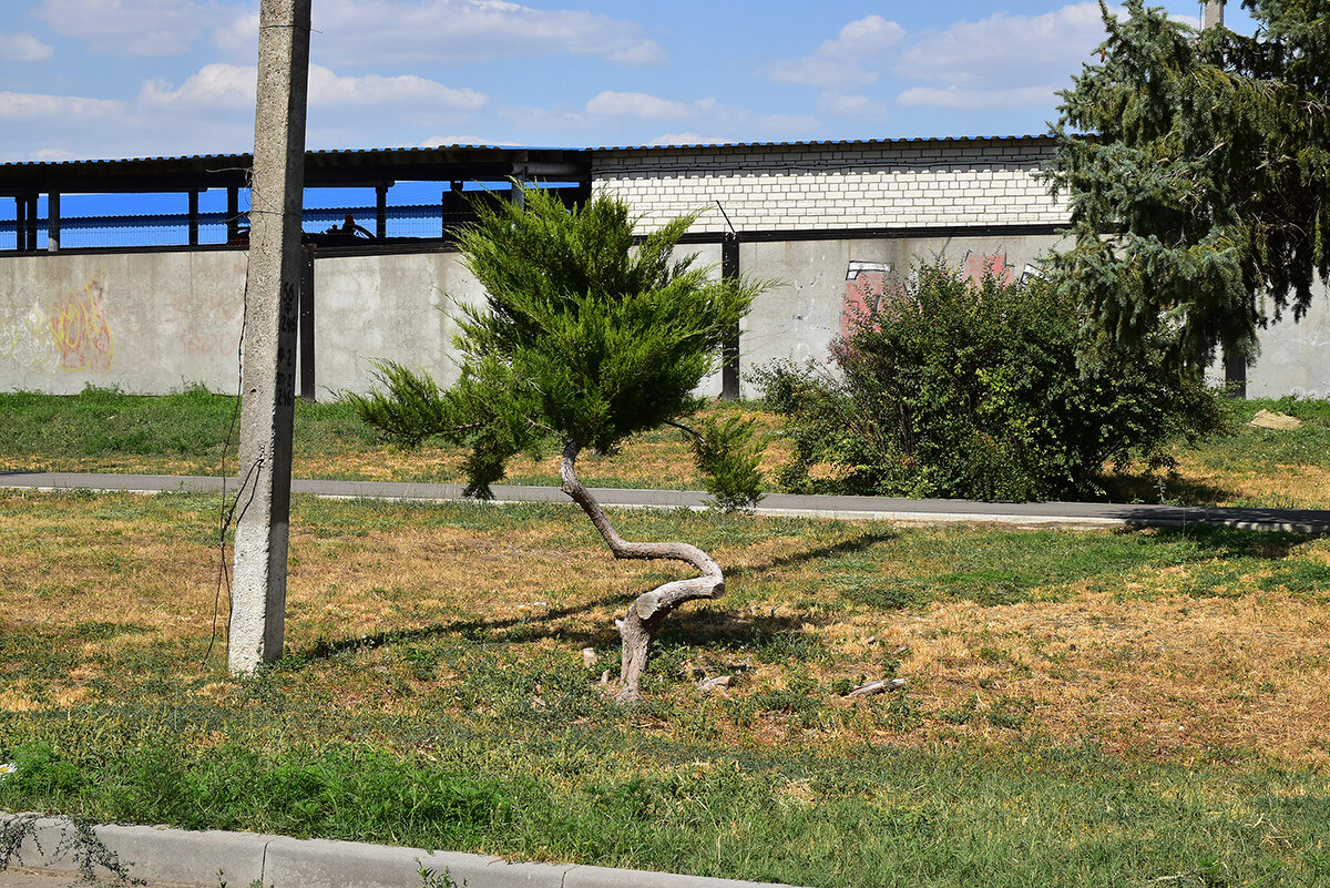 Присаживайтесь! - Александр 