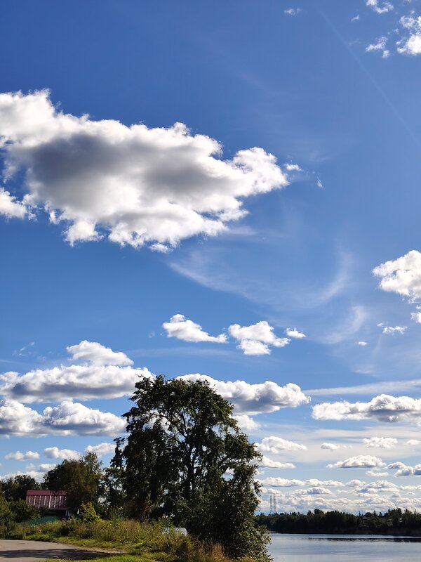 Теплый день - Андрей 