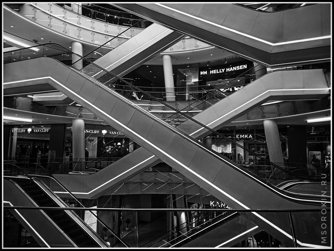 Геометрия - Максим Сорокин