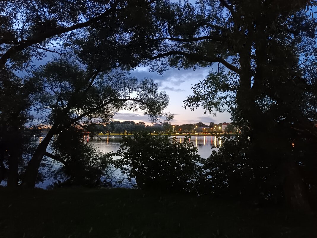 Вечером в парке - Мария Васильева Вечером в парке - Мария Васильева