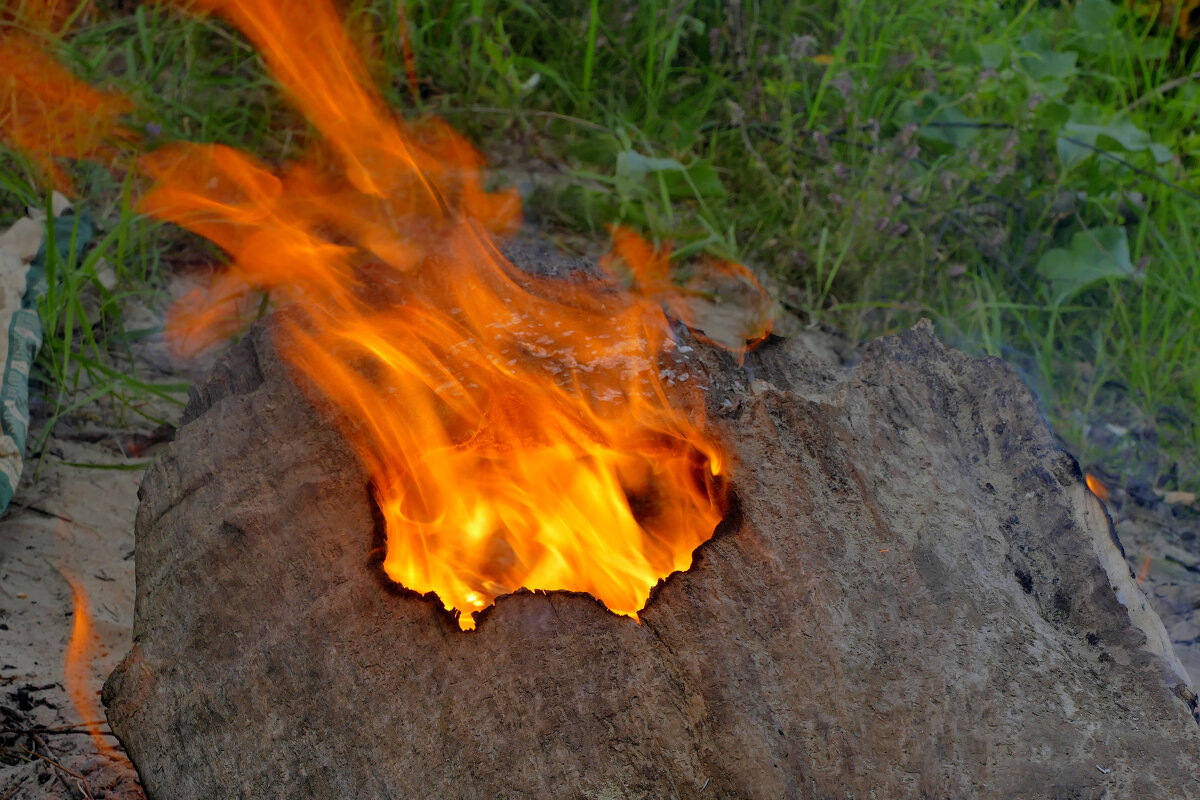 из снятого сегодня 2 - Александр Прокудин