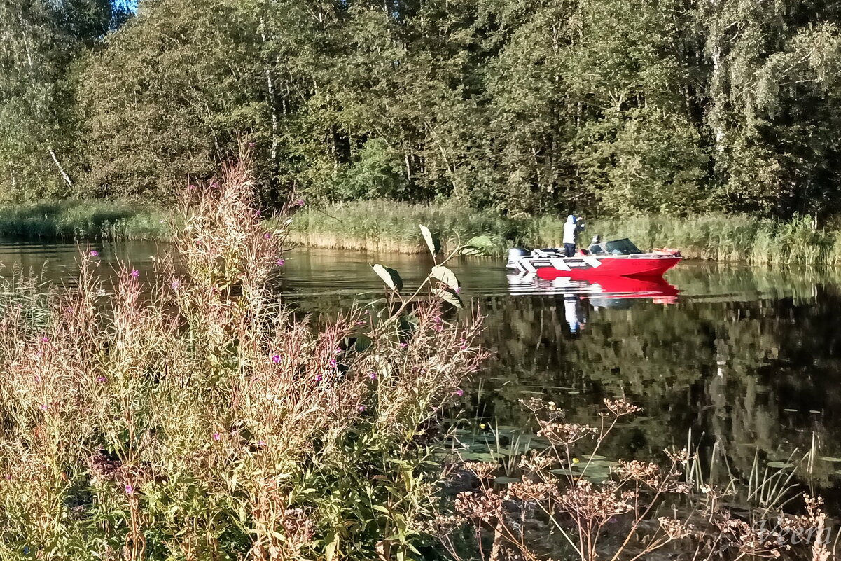 Конкуренты ) - Veera V