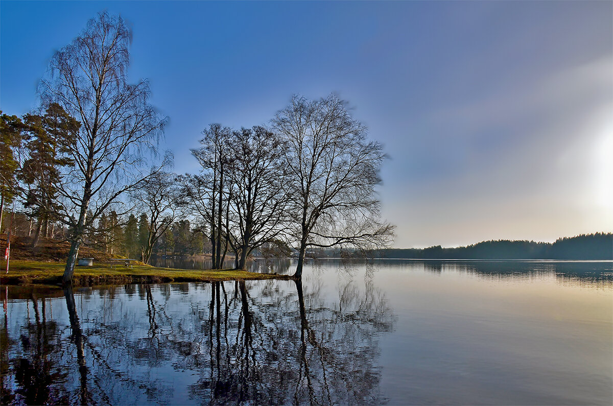 Заворожило - Alexandеr P