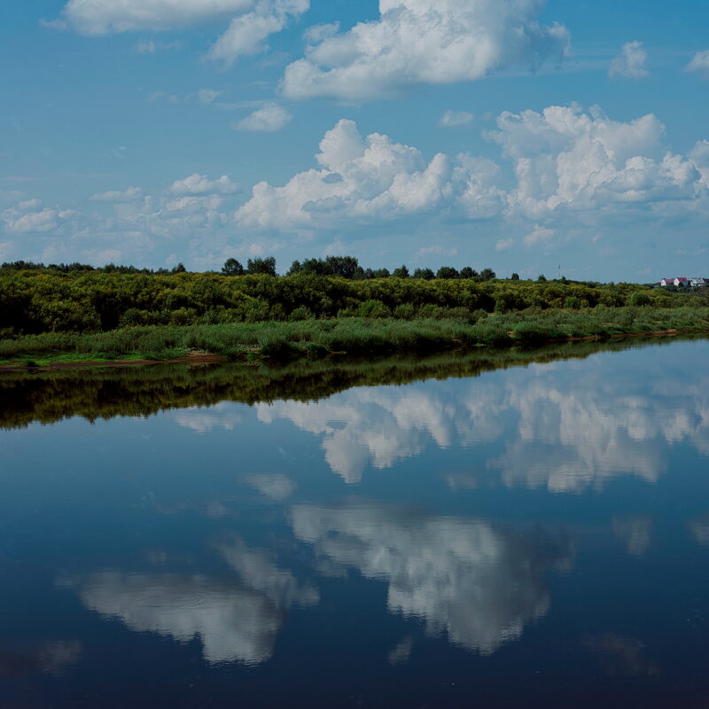 Назва. отсу. - Денис Безногов Назва. отсу. - Денис Безногов