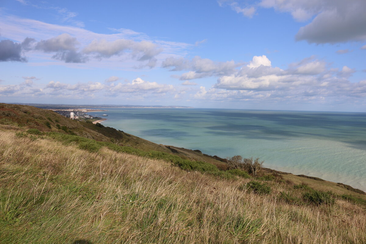 Береговая линия - Ольга 