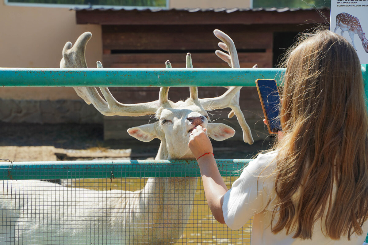 ФОТО_ЗА_ЕДУ - Сергей Янович Микк