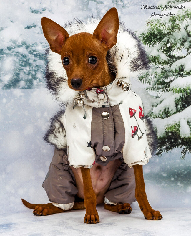 Фотосессия - Светлана Ищенко