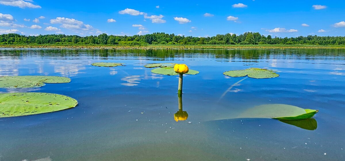 Река Солоница - Михаил Свиденцов