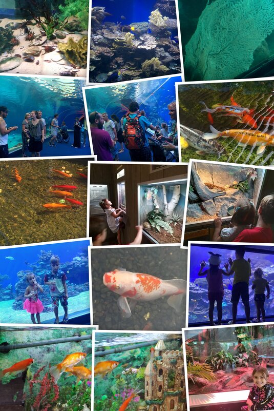 " - Светлана Хращевская