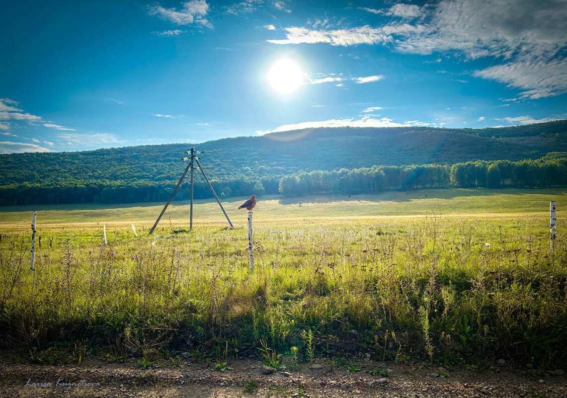 Вечер - Larisa Kuznetsova