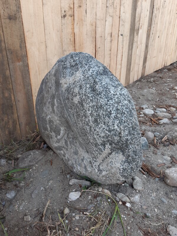 Конец июля - тоже середина лета - Галина Минчук